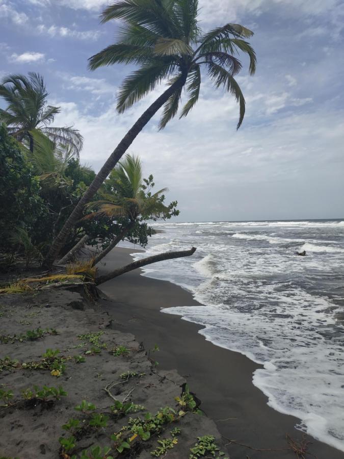 Budda Home Tortuguero Exterior foto